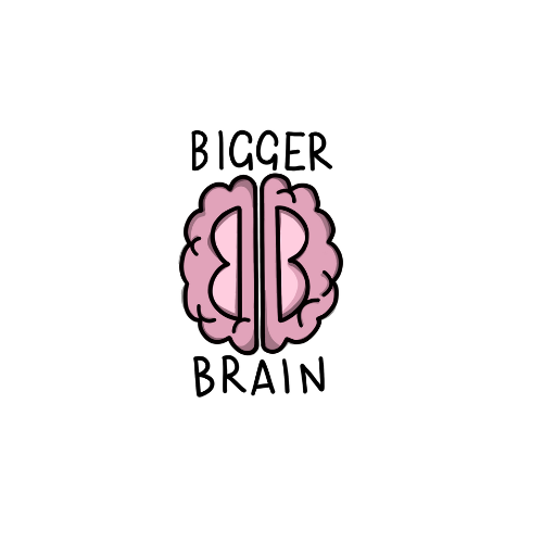Bigger Brain logo